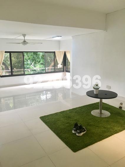 Minbu Court (D11), Apartment #158249392